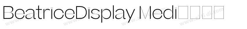 BeatriceDisplay Medi字体转换